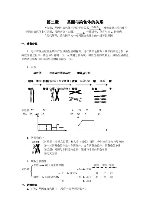 高一生物基因与染色体的关系