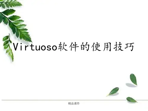 Virtuoso软件的使用技巧
