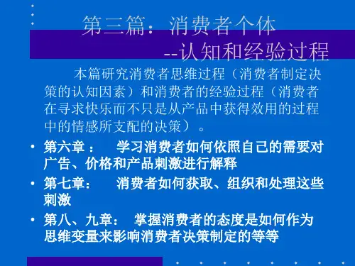 《消费者行为学——消费者个体(第六章 消费者感知)》