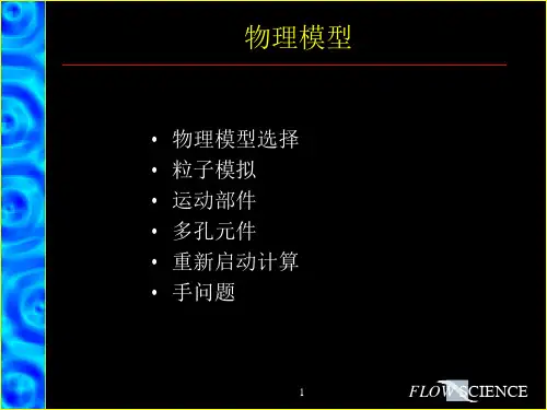 FLOW3D-物理模型设置