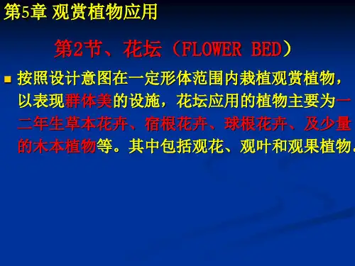 常见植物识别PPT课件：第5章2节花坛
