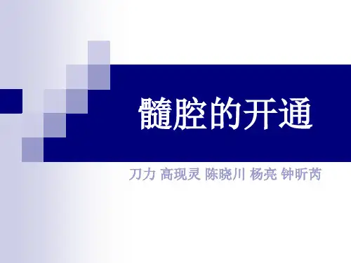 髓腔的开通