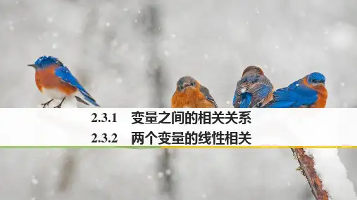 人教版数学高一课件 变量之间的相关关系-2.3.2 两个变量的线性相关