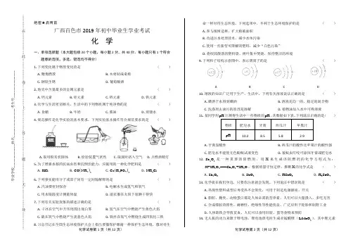 2019年广西百色市中考化学试卷(含答案与解析)