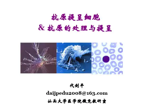 抗原提呈细胞及抗原提呈 DJP