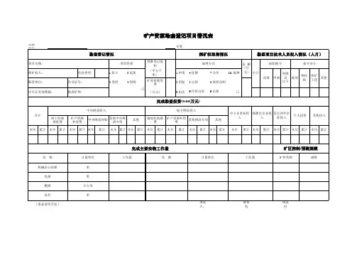 Excel实战技巧模板1000例：矿产资源勘查登记项目情况表
