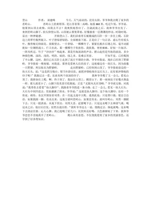 关于登山的作文