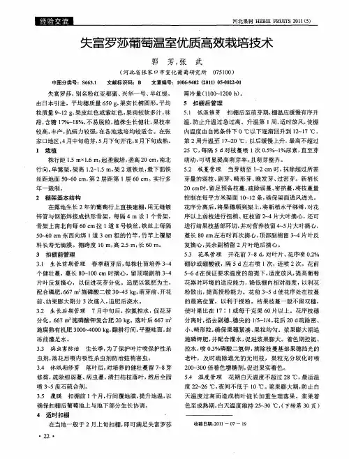 失富罗莎葡萄温室优质高效栽培技术