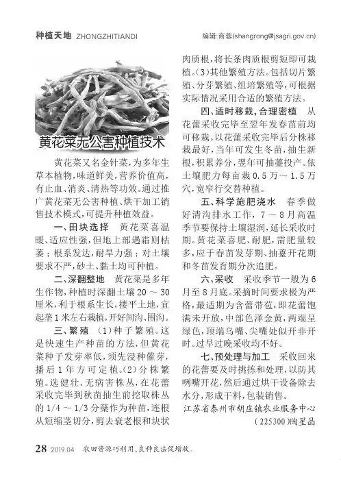 黄花菜无公害种植技术