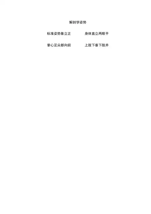 解剖学姿势