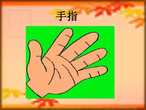 《手指》