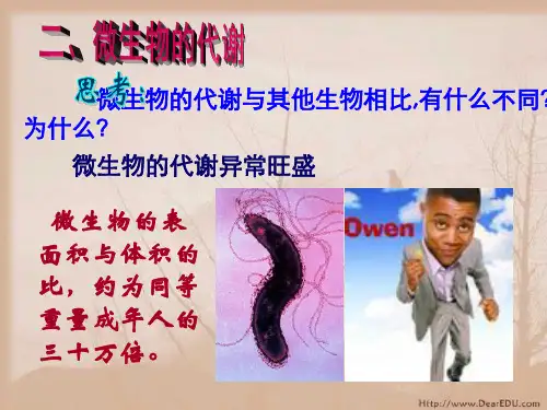 微生物的代谢