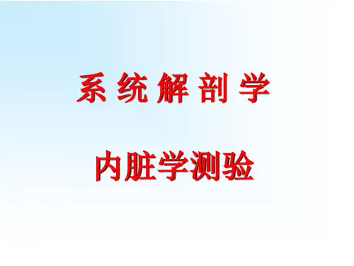 人解复习题(内脏)