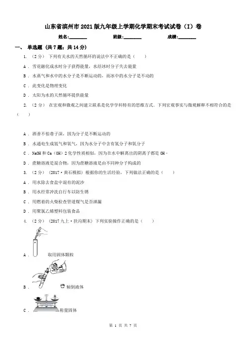 山东省滨州市2021版九年级上学期化学期末考试试卷(I)卷