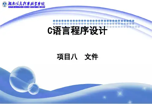 项目 8 文件