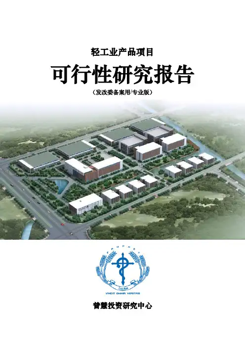 轻工业产品项目可行性研究报告发改委备案用(专业版)