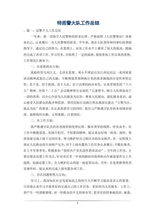 特巡警大队工作总结