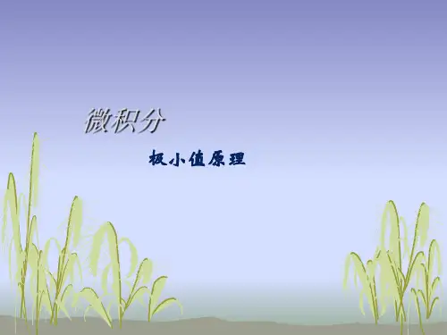 大学课件《微积分》极小值原理