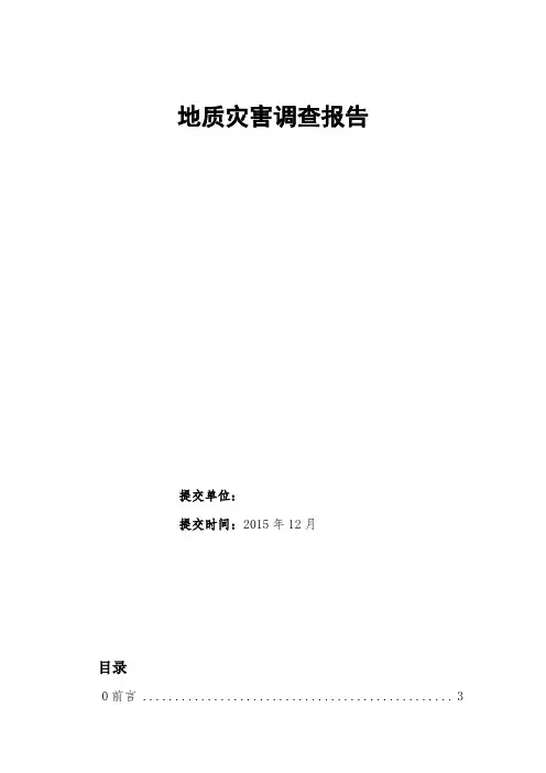 地质灾害调查报告(DOC)