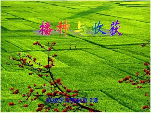 远程研修简报二