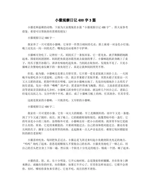 小猫观察日记400字3篇