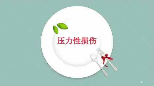 压力性皮肤PPT课件