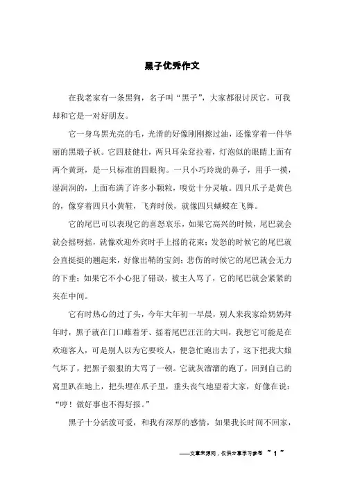 黑子优秀作文