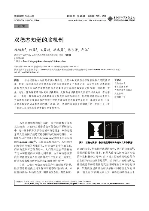 双稳态知觉的脑机制