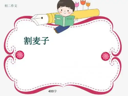 初二作文《割麦子》400字(共8页PPT)