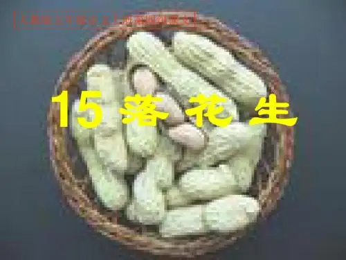 人教版五年级语文上册第四组《15落花生》PPT课件