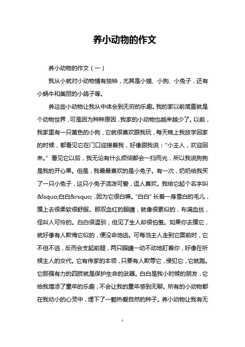 养小动物的作文
