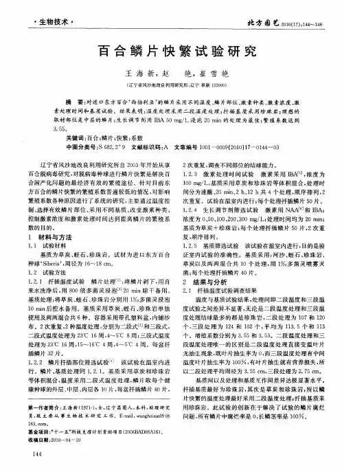 百合鳞片快繁试验研究