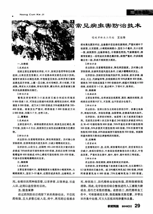 葡萄常见病虫害防治技术