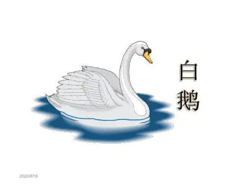 人教版小学语文四年级上册白鹅-教学课件