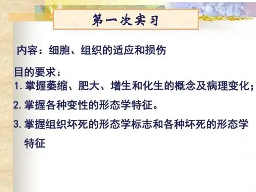 病理学(第八版)切片考试第一次实习细胞、组织的适应和损伤