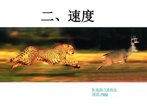苏科版物理八年级上册《速度》课件