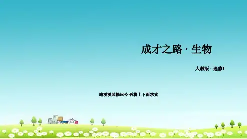 高中生物 专题4 课题2 探讨加酶洗衣粉的洗涤效果课件 新人教版选修1(1)