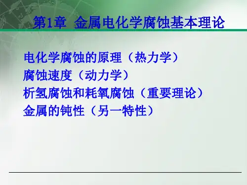 电化学腐蚀的原理ppt课件