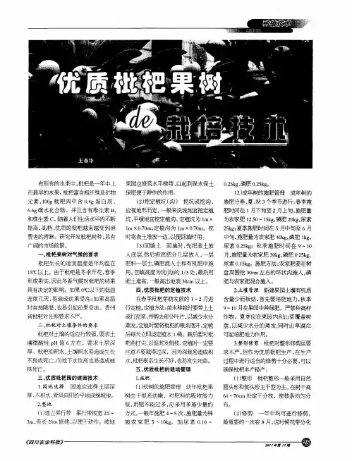 优质枇杷果树的栽培技术