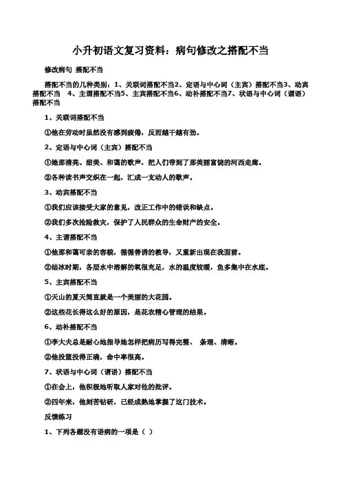 小升初病句修改——搭配不当