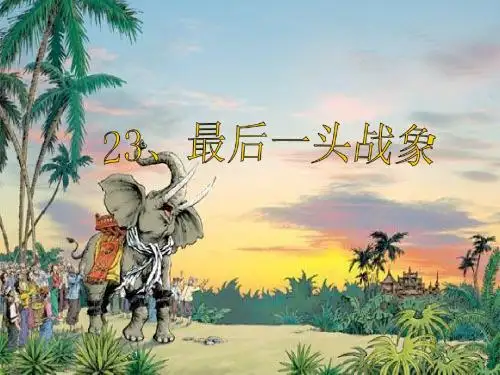 《最后一头战象》课件