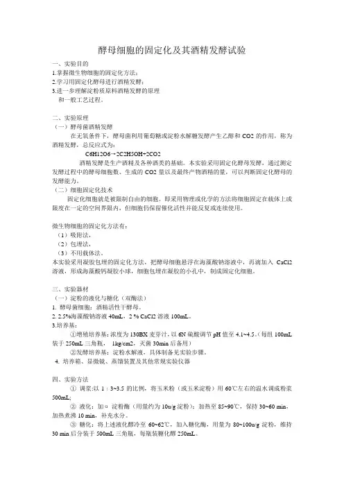 酵母细胞的固定化及其酒精发酵试验