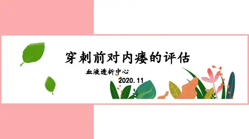 穿刺前对内瘘的评估
