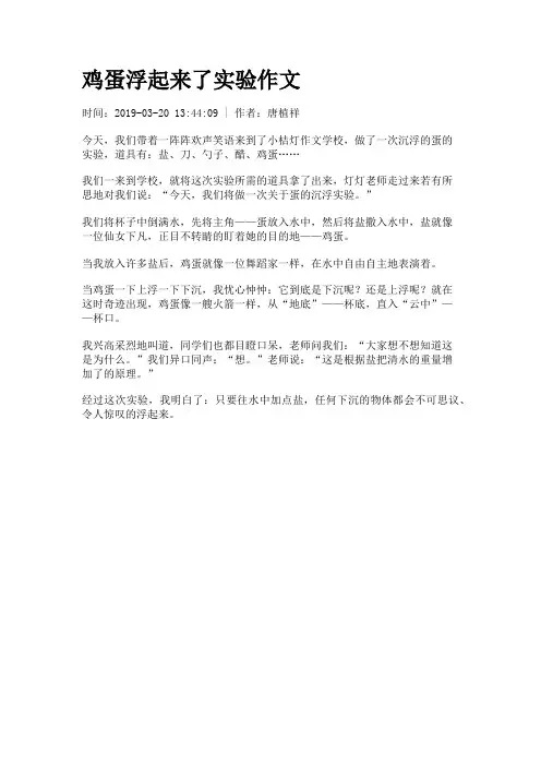 鸡蛋浮起来了实验作文