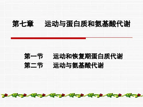 第七章 运动与蛋白质和氨基酸代谢
