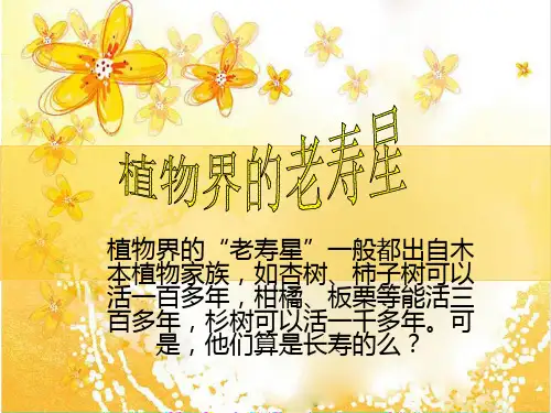 植物界的老寿星