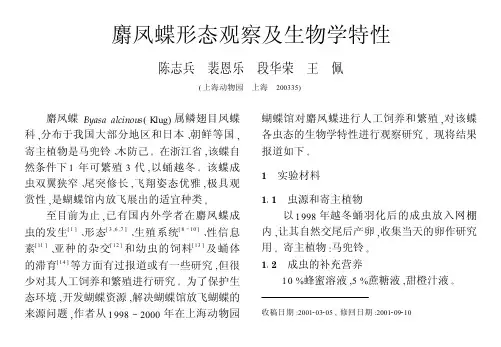 麝凤蝶形态观察及生物学特性 - 《应用昆虫学报》