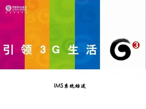 IMS综述2