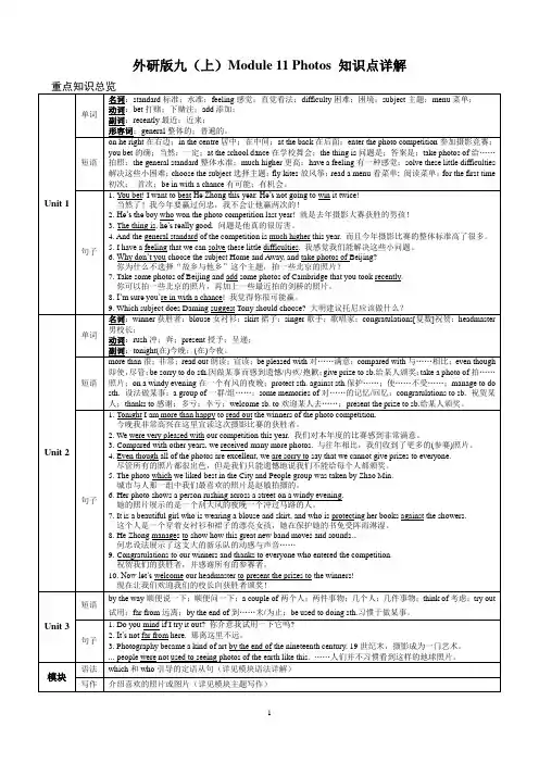 Module 11 Unit 1 外研版英语九年级上册知识点详解