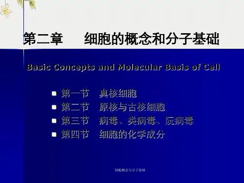 细胞概念与分子基础